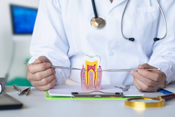Best After-Hours Emergency Dentist in Newport East, RI
